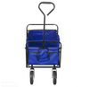Collapsible Beach Wagon Folding Camping Utility Cart Outdoor Support up to 150kg