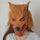 Wolf Head Mask Rubber Latex Animal Costume Full head Mask Halloween Costume Fanc