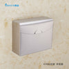 Acier Inoxydable Sanitaire Papier Toilette Carton Support Mural K30