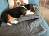 Premium Fluffy Fleece Dog Cat Kitten Pet Blanket Dog Bed  Soft Carpet Mat