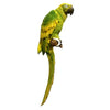 Mediterranean Home Decoration Parrot Wall Hanging   middle   yellow