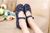 Old Beijing Shoes Slipsole Small Flower National Style Embroidered Shoes blue