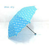 Fashion umbrella Color Changing Water Activated Windproof Princess Folding