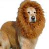 Animal de Compagnie Équipement Exclusif Chien Chat Perruque Lionhead Kit Collier