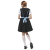 Bavaria Costume Beer Festival Waitress Embroidered Dress