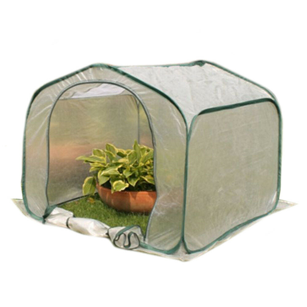 Plastic Tent Checks Greenhouse