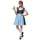 Bavaria Costume Beer Festival Waitress Embroidered Dress