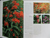 Rare and Precious Wild Flowers of China Vol.2