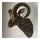 Sheep Head Wall Hanging Decoration Plastic bronze