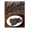 357g Yunnan Qizibing Chitsu Rojo Maduro Cocinadas Té Té Negro Rojo Estampado