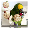 Bird Parrot Toy Loofah Sponge Snap Scratch
