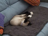 Premium Fluffy Fleece Dog Cat Kitten Pet Blanket Dog Bed  Soft Carpet Mat
