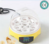 Mini Incubadora 7 Huevo Capacidad Automático Digital Pollo Pato Pájaro Hatch