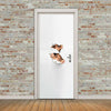 New 3D DIY PVC Waterproof  Door Wall Sticker Peering View qd014