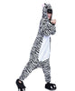 Unisex Adult Pajamas  Cosplay Costume Animal one piece sleepwear Suit Zebra