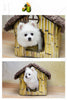 Teddy kennel pet kennel washable cottages Pomeranian Bichon small dog house