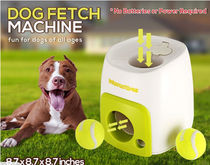 Dog toy fetch on sale machine