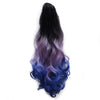 Gradient Ramp Claw Clip Horsetail Wig    10#black purple blue - Mega Save Wholesale & Retail - 1
