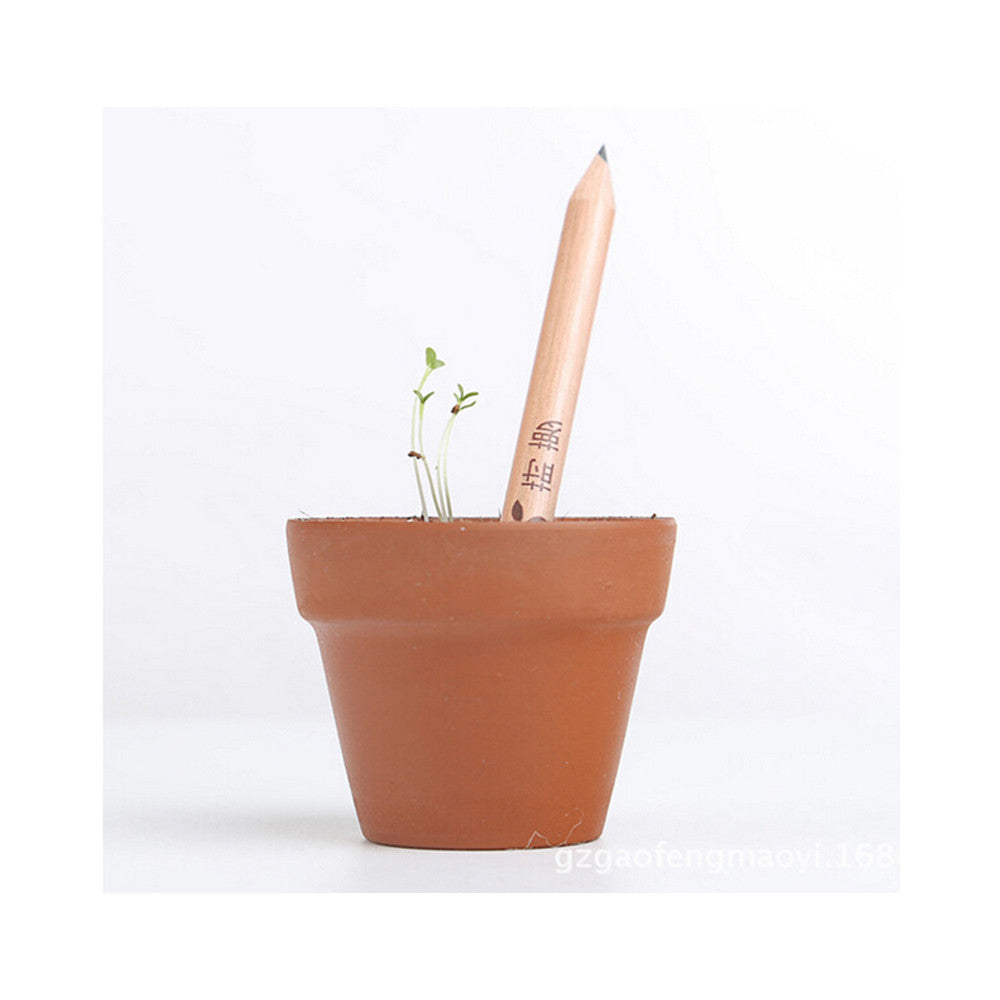 8Pcs Sprout Pencil plantable pencil Magic Pencil Seeds Mini Planter - Mega Save Wholesale & Retail - 4