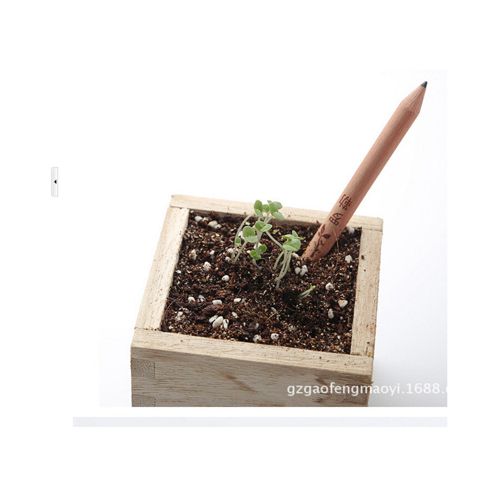 8Pcs Sprout Pencil plantable pencil Magic Pencil Seeds Mini Planter - Mega Save Wholesale & Retail - 2