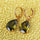 Water-drop Zircon Earrings    A green - Mega Save Wholesale & Retail - 2