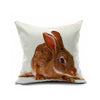 Cotton Flax Pillow Cushion Cover Comprehensive    BZ377 - Mega Save Wholesale & Retail