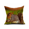 Cotton Flax Pillow Cushion Cover Comprehensive    BZ391 - Mega Save Wholesale & Retail