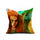 Film and Television Plays Pillow Cushion Cover  YS013 - Mega Save Wholesale & Retail