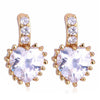 18K Gold Glavanization Austrian Zircon Earrings   white - Mega Save Wholesale & Retail - 1