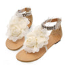 Flat Heel Flower Sandals Various Size Women Shoes  beige - Mega Save Wholesale & Retail - 1