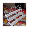 Iron Nail cosmetics jewelry display shelves shelves shelves three perfume factory outlets  white - Mega Save Wholesale & Retail - 1