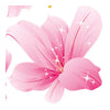 Flower Lily Wallpaper Wall Sticker Removeable - Mega Save Wholesale & Retail - 3