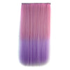 Gradient Ramp Straight Cosplay Wig Hair Extension 5 Cards 25 - Mega Save Wholesale & Retail - 1