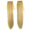 Long Straight Hair Lace-up Wig 613H16#