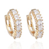 18K Gold Galvanized Zircon Earrings   white - Mega Save Wholesale & Retail - 1