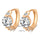 Fashionable Delicate Earrings - Mega Save Wholesale & Retail - 4