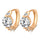 Fashionable Delicate Earrings - Mega Save Wholesale & Retail - 1
