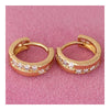 18K Gold Galvanization Zircon Earrings - Mega Save Wholesale & Retail - 4