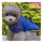 Pet Dog Cotton Coat Checks Pattern   blue  1 - Mega Save Wholesale & Retail - 3