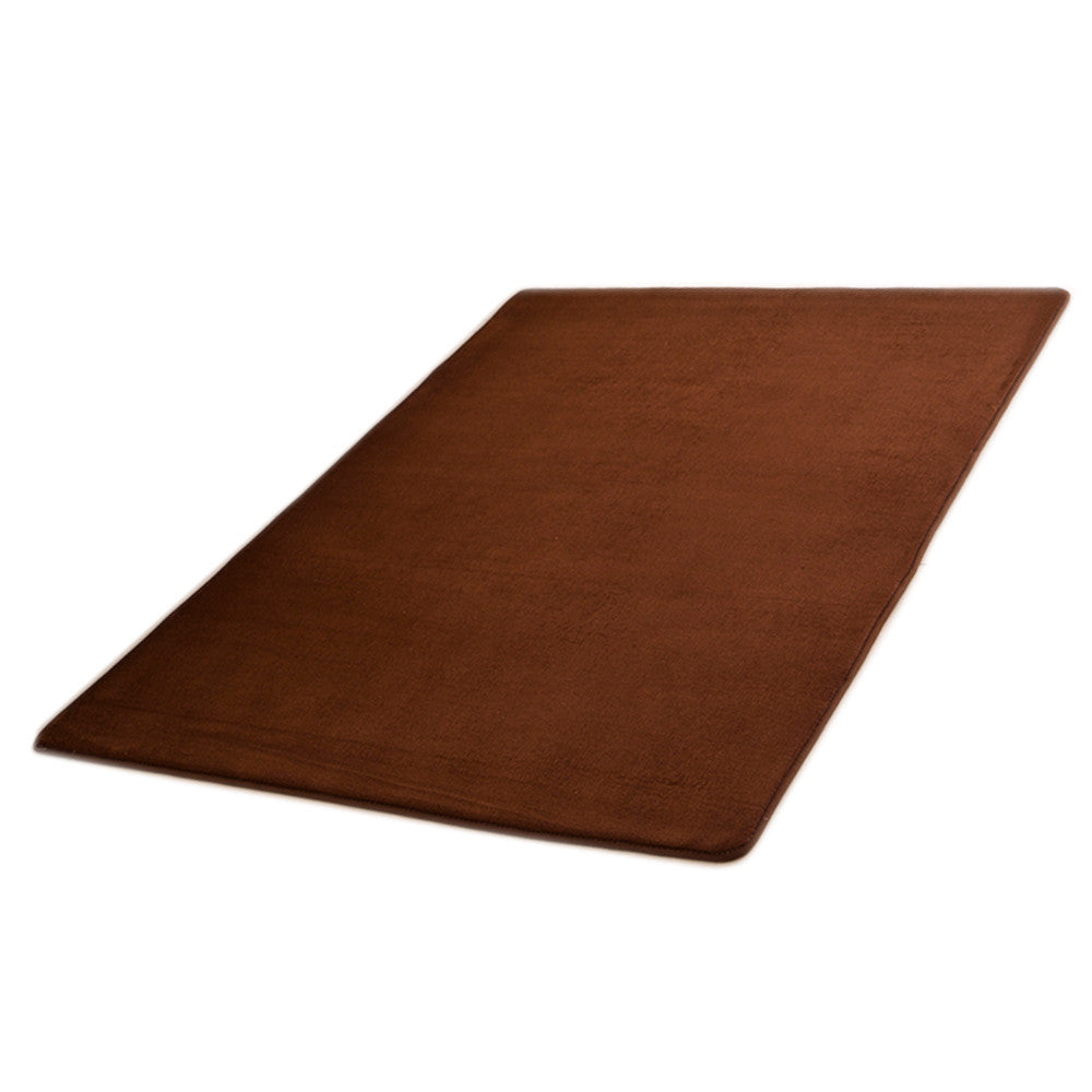 Thick Water Wash Coral Fleece Carpet Ground Door Mat  12  40*60cm - Mega Save Wholesale & Retail