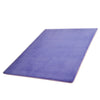 Thick Water Wash Coral Fleece Carpet Ground Door Mat   02   40*60cm - Mega Save Wholesale & Retail