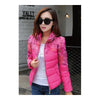 Winter Fashionable Short Thin Light Down Coat Woman  rose    M - Mega Save Wholesale & Retail - 2