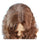 Central Parting Long Curled Hair Pack Coffee Cap Wig