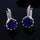 Korean Fashionable Round Zircon Earings