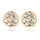 Temperament Hollow Rose Flower Zircon Ear Studs    gold plated white zircon - Mega Save Wholesale & Retail - 1