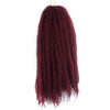  Caterpillar Wig Braid Fluffy Afro Hair Extension    118#