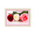 Diamond Cross Stitch Square Diamond Living Room Diamond Painting Dining Room Rose's Kiss Diamond Paste - Mega Save Wholesale & Retail