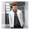 Light Thin Down Coat Man Stand Collar Winter Plus Size   light grey   S - Mega Save Wholesale & Retail - 2