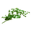 Reptile Terrarium Amphibian Artificial Acrylic Sweet Potato Vines Boston Ivy - Mega Save Wholesale & Retail - 2