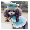 Dog Pet Clothes Cloak Wig Hat Suit   PF09 blue  S - Mega Save Wholesale & Retail - 1